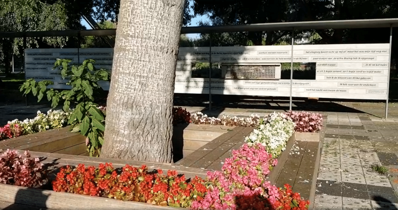 De Boom die alles zag - Cobra Groeninzicht